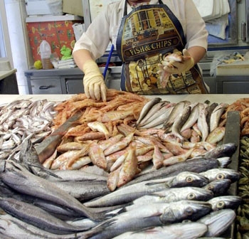 Base de datos de Pescaderias en España
