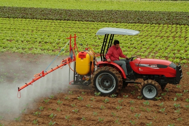 Base de datos de Agricultura en España