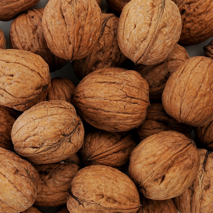 Base de datos de Empresas de Frutos secos en España