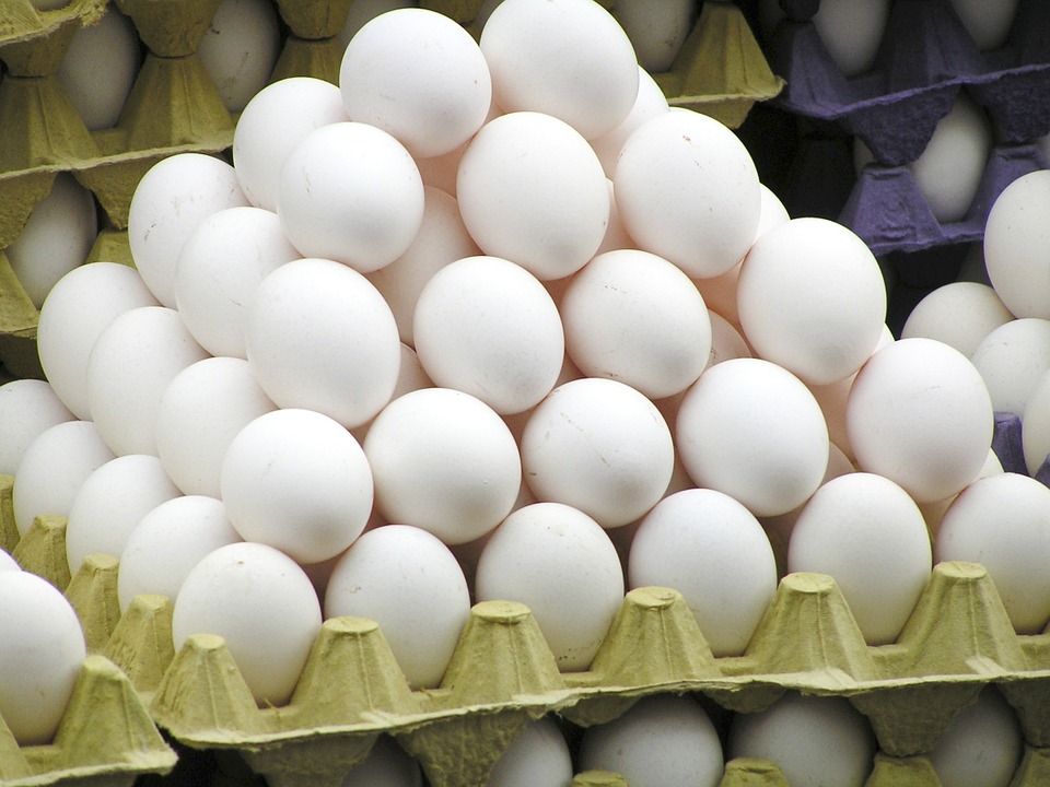 Base de datos de Empresas de Huevos en España