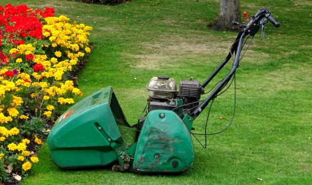 Base de datos de Empresas de Maquinaria para jardinería en España